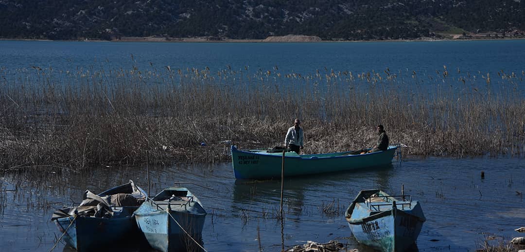 Yeşildağ İskele (Sarpçaburun) Kamp, Mesire ve Avlanma Alanı