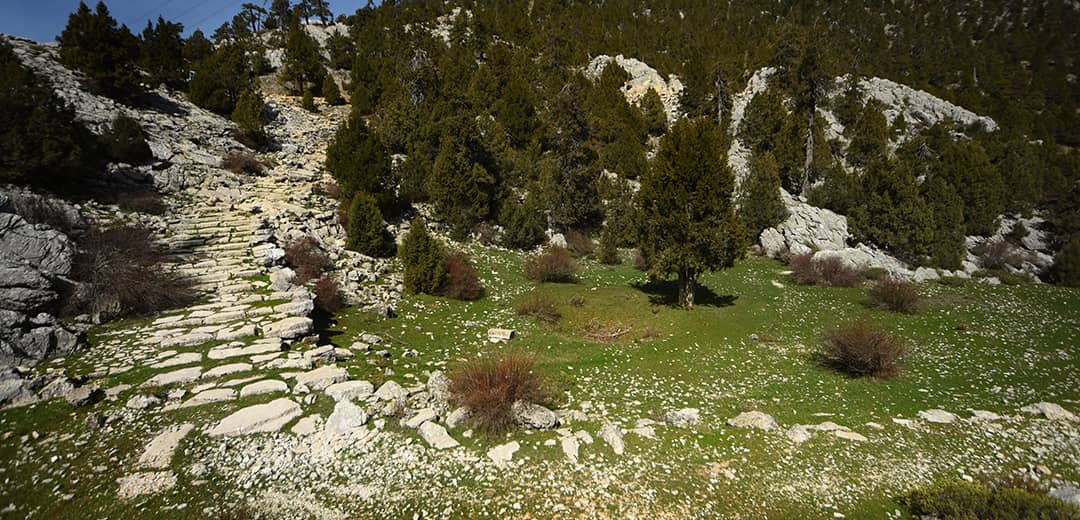Döşeme Kral Yolu