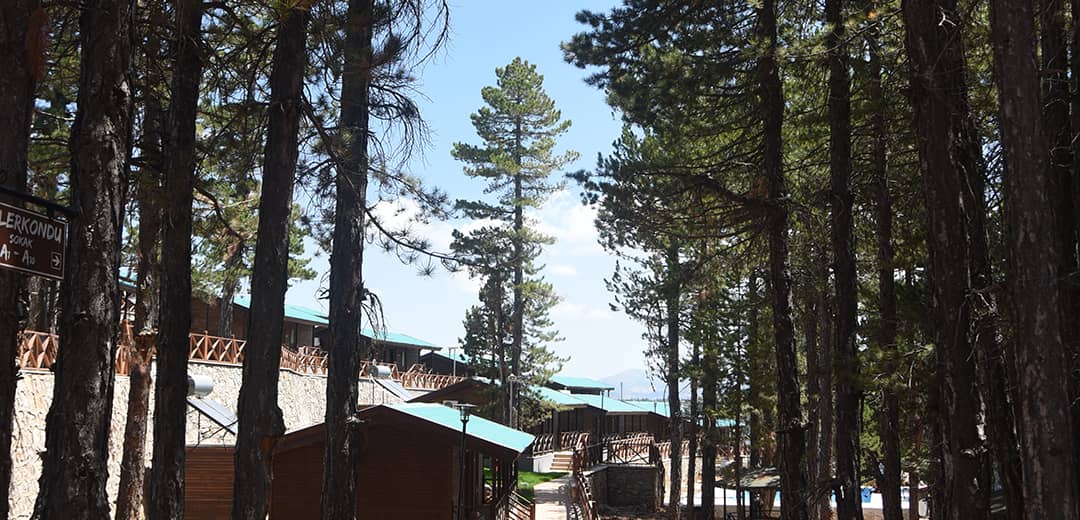 Taşkent Qibla Rock and Training Camp