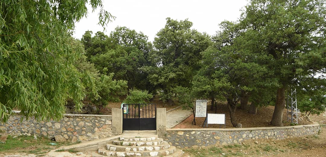 Avdan Mahallesi Şeyh Hacı Zahrettin Efendi Türbesi
