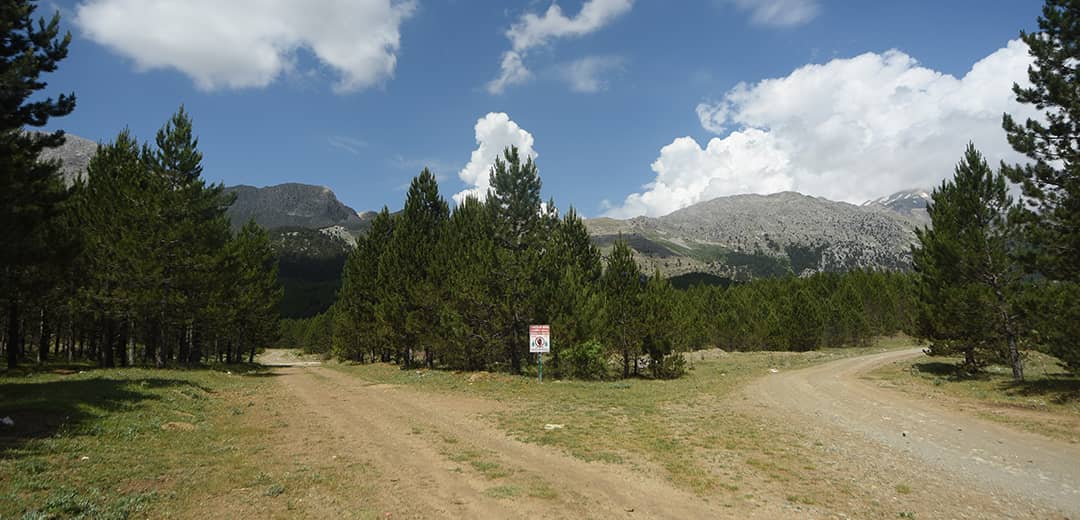 İslibucak Orman Yürüyüş Parkuru