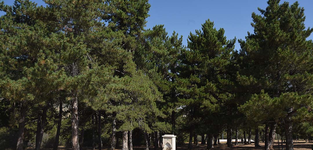 Derbent Yaylaları