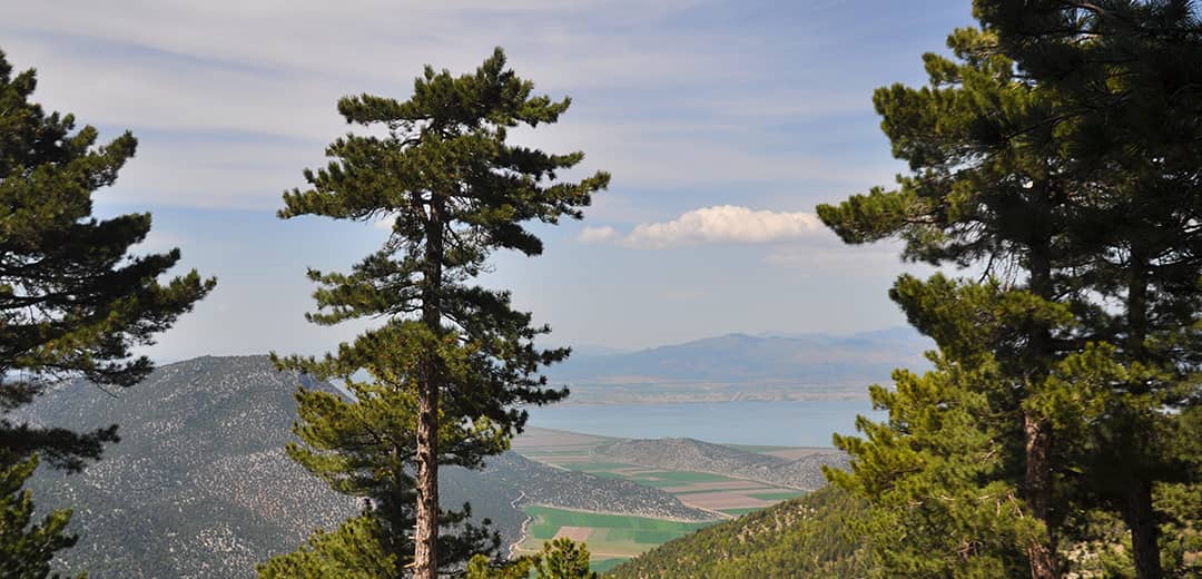 Yalıhüyük Gölcük Yaylası