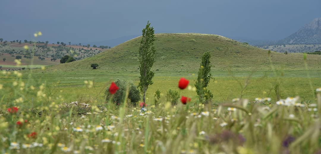 Güneysınır Höyükleri