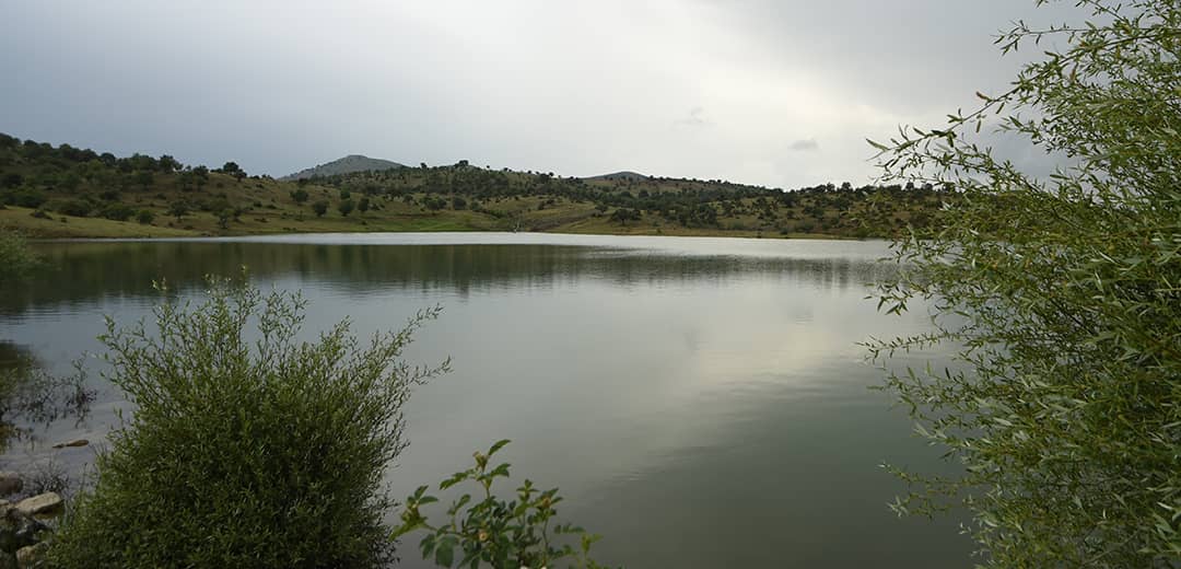 Güneysınır Göletleri